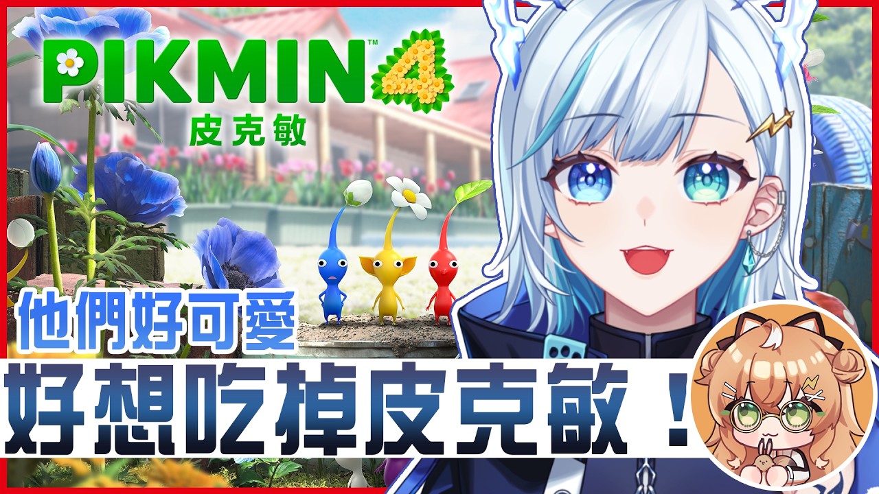 【皮克敏4】一回來虛擬日本就來玩皮克敏啦✨行李箱帶了一隻紙箱妖精回來💙🧡  2026加班台 part.292【 虎屋レイ / Vtuber 】