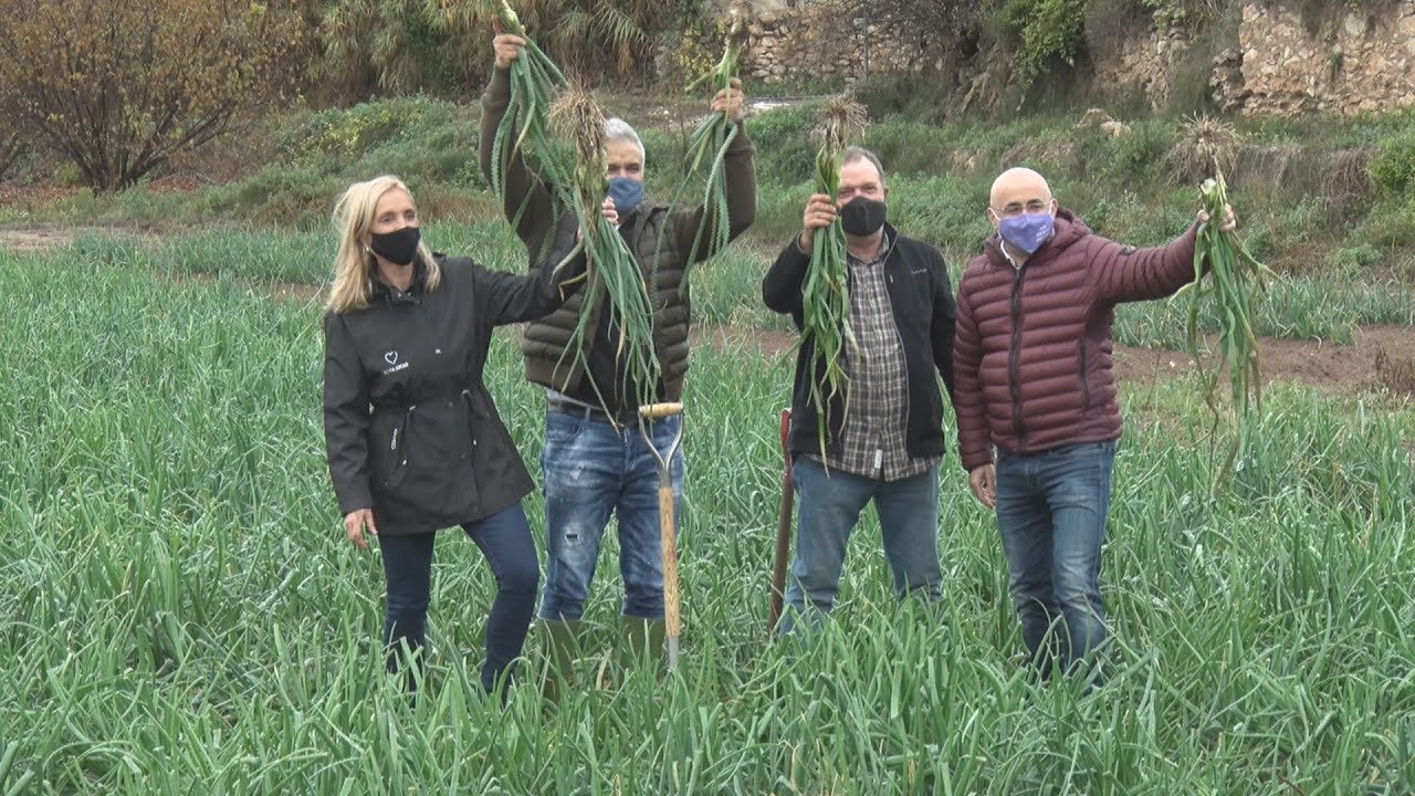 Valls para taula per als primers cal&ccedil;ots