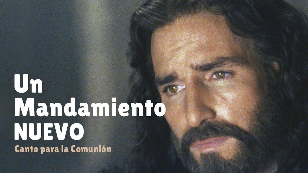 Un mandamiento nuevo nos da el Señor | Canto de Comunión