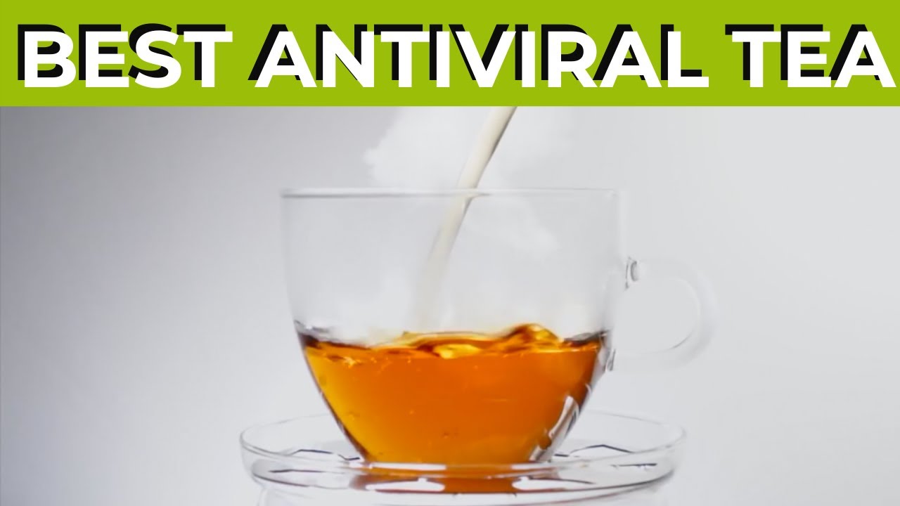 Top Herbs to Kill Viruses and Boost Your Immune System - Antiviral Tea Recipe
