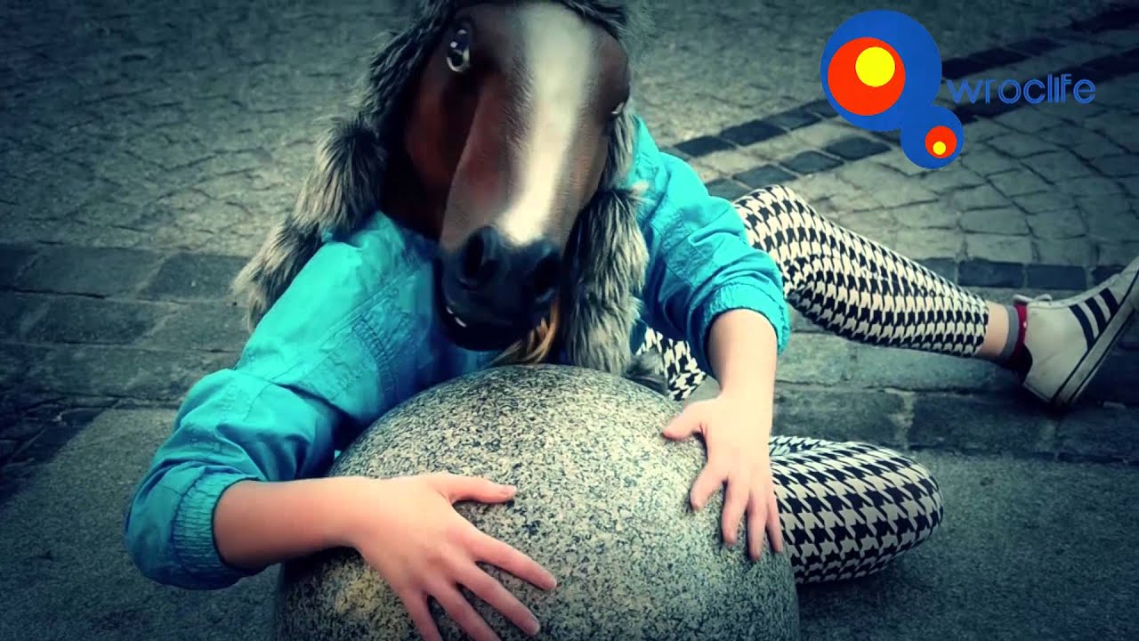 Koń Martin!!