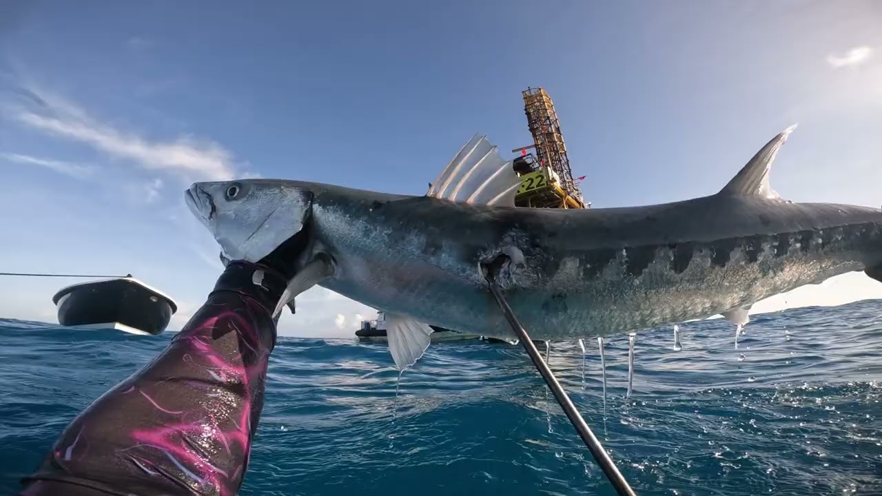 PESCA SUB RN - PESCARIA DE BARRACUDA
