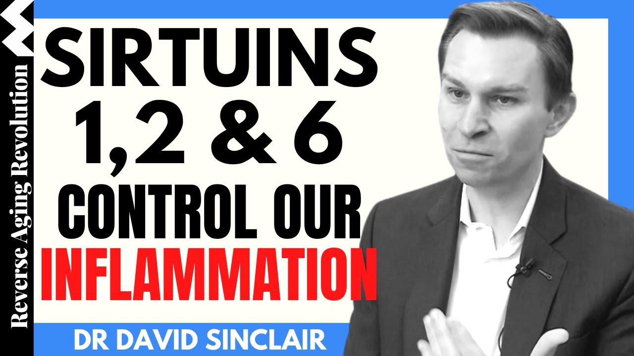 DAVID SINCLAIR 