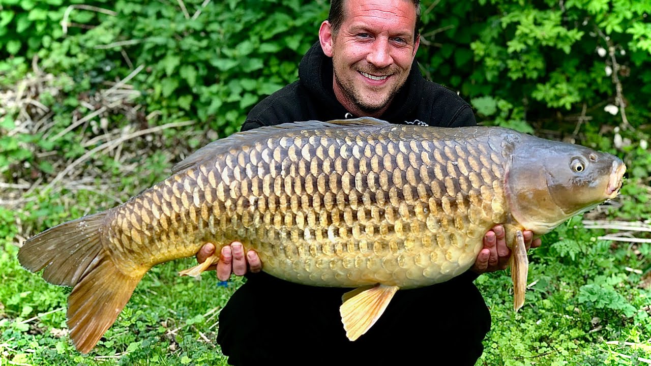 Cottington, christene lake, massive common caught, the long common