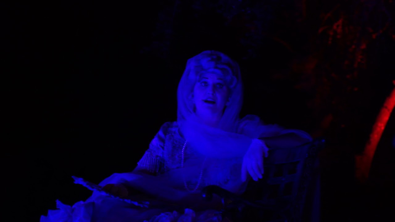Haunted Mansion characters at Mickey's Not So Scary Halloween Party 2017