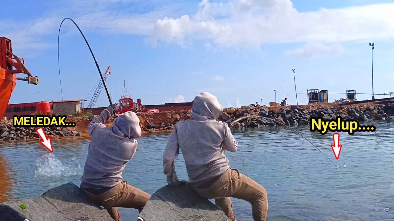 MANCING IKAN BARONANG TERBESAR Joran Tegek Nyaris Tak Mampu Menahan Tarikannya