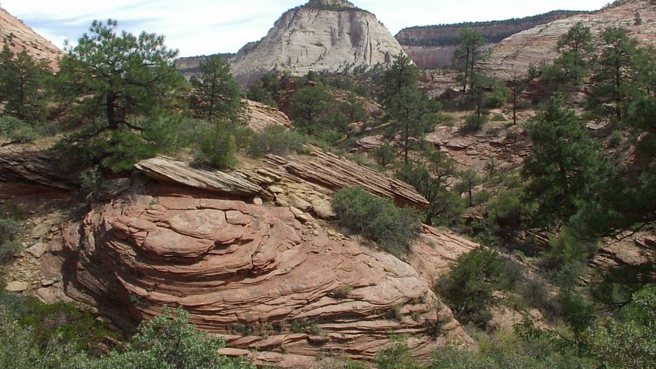 Steve Schaefer piano,  Zion National Park