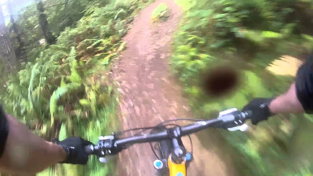 Riding in Coed Y Brennin 2014