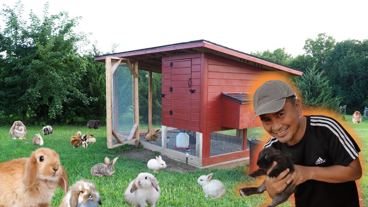 We're BACK! Rebuilding Our Rabbit Farm 🐰 | Meet Our New Bunnies!