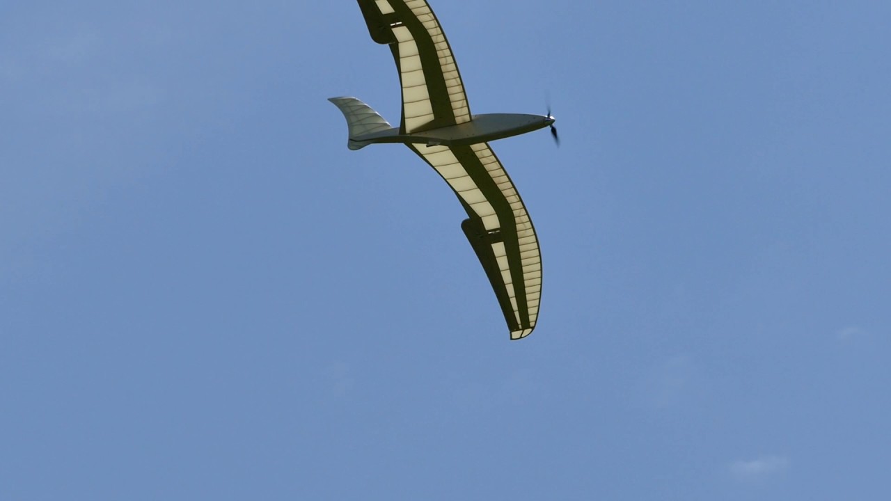 Flying Cloud Nurflügler