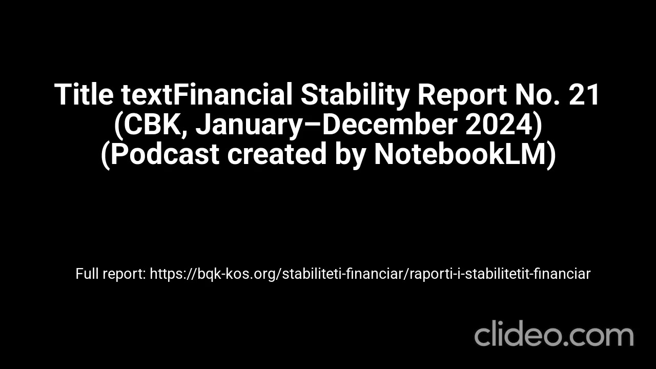 (ENG) Podcast — FSR Nr. 21 (CBK, January - December 2024) (created with NotebookLM)