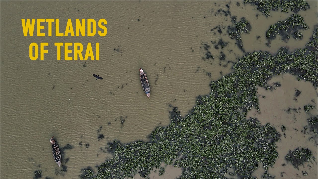 WETLANDS OF TERAI #Nepal in 2 Minutes - What are wetlands? [Aerial Drone Footage]