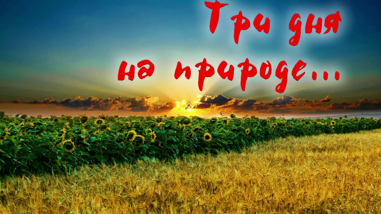 Три дня на природе. Речка Кочеты. Загадочное зарево. Рыбка есть.