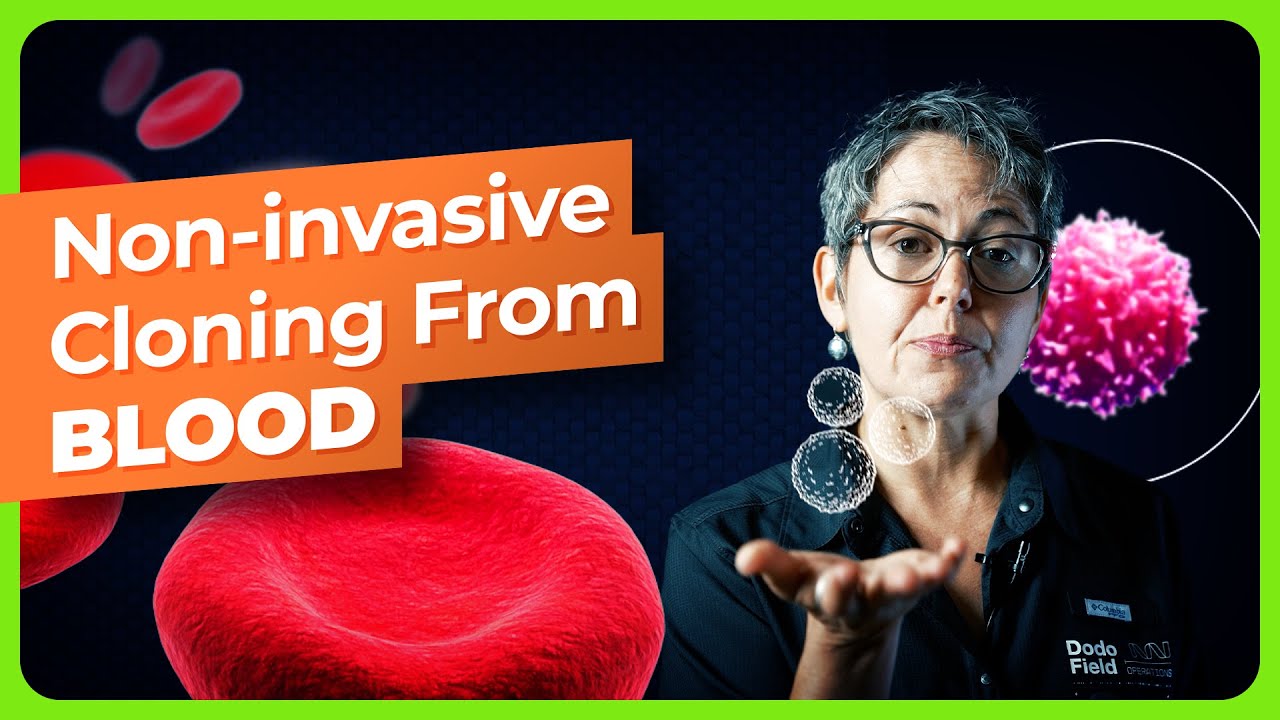 Non-Invasive Blood Cloning Method Explained