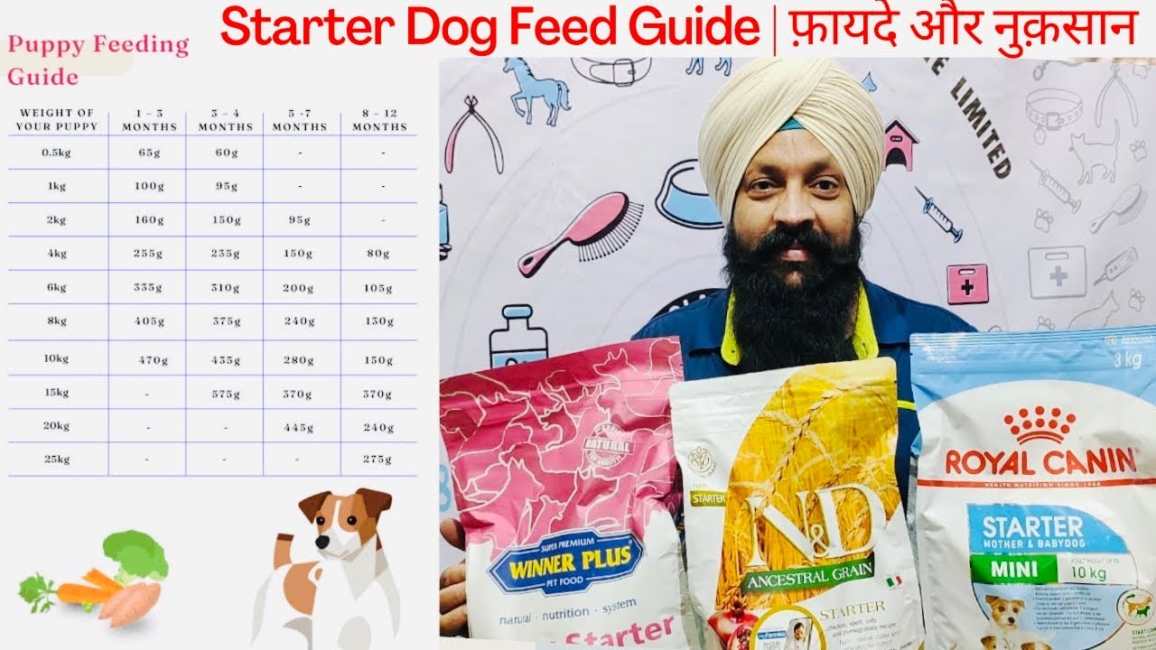 Feeding Tips - Starter Dog Food Guide Puppy Owners | फ़ायदे और नुक़सान Dekhie Live 311th Bhola Shola