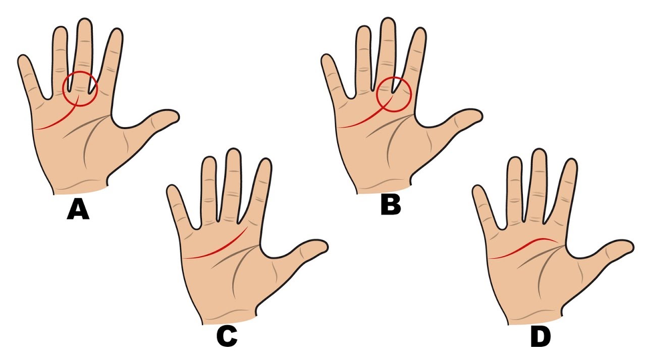Voici ce que les lignes de vos mains révèlent sur votre personnalité.