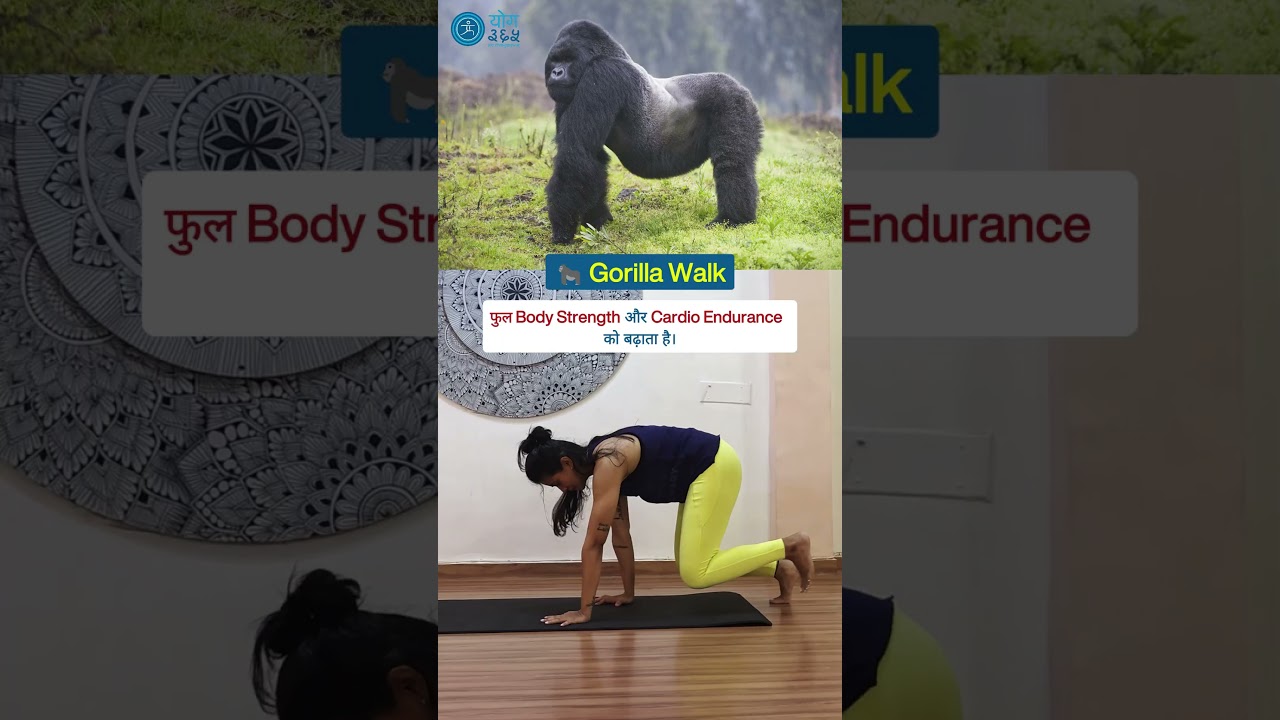 5 Animal Walk Exercises | Frog, Duck, Gorilla, Bunny & Crab Walk Tutorial