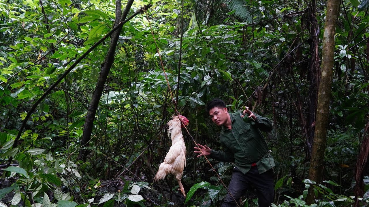 hunting wild chickens on rainy days, trapping wild chickens, fireplace, cooking - SURVIVAL SKILLS