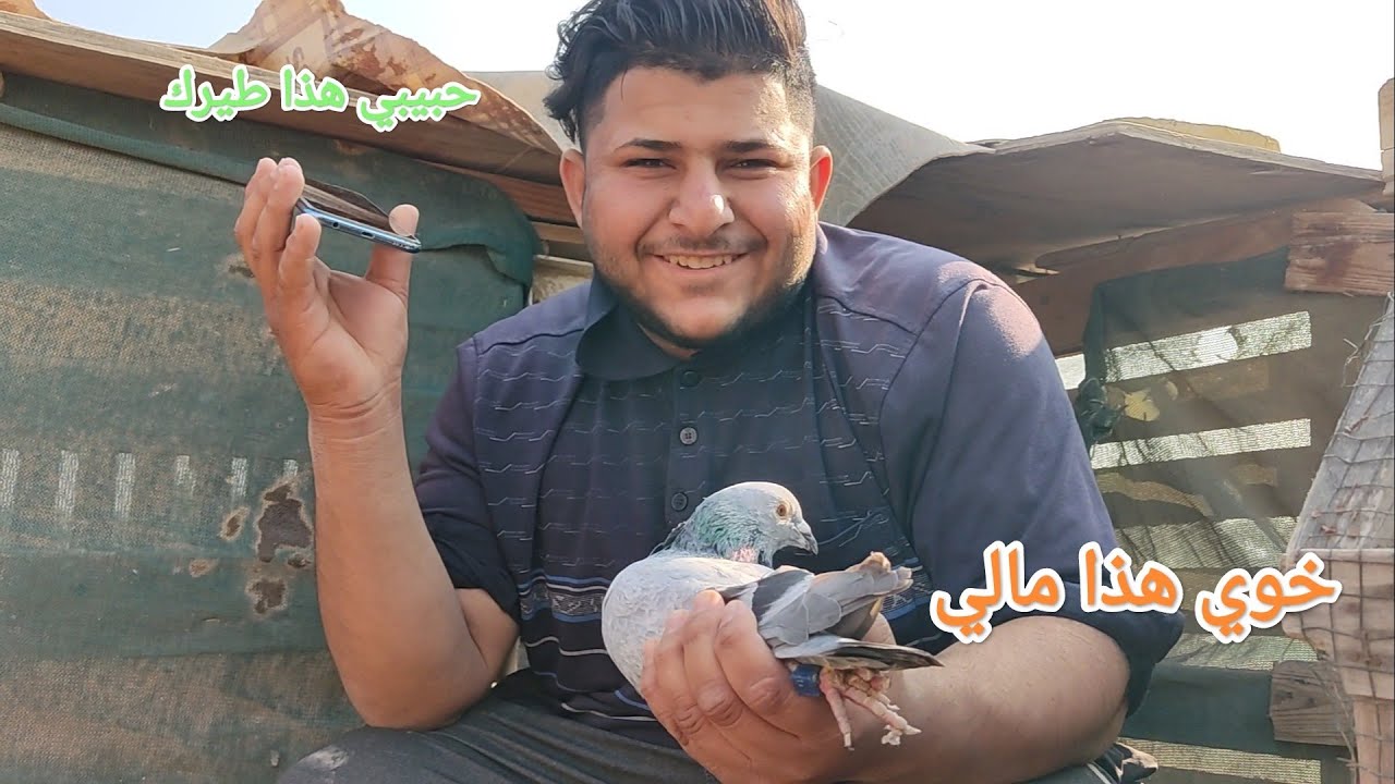 صدت طير  زاجل و خابرت راعيه 😊شوف شنو كلي 🤩#اكرم_الصياد
