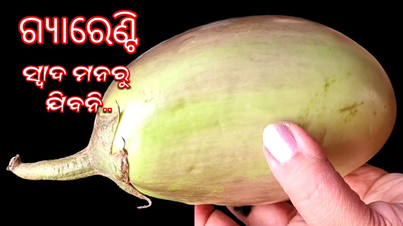 ବାଇଗଣ ର ଏଇ ଆଇଟମ ଦେଖିଲେ ଲୋଭ ସମ୍ଭାଳି ପାରିବେନି 😋 Baigana Recipe | Baigana Chop | Baigana Bara