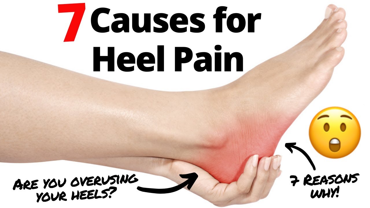 What are the 7 causes of Back of the Heel Pain?