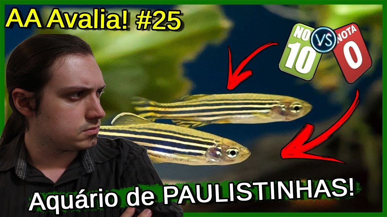 Avaliei um Aquário de PAULISTINHAS! - AA Avalia #25