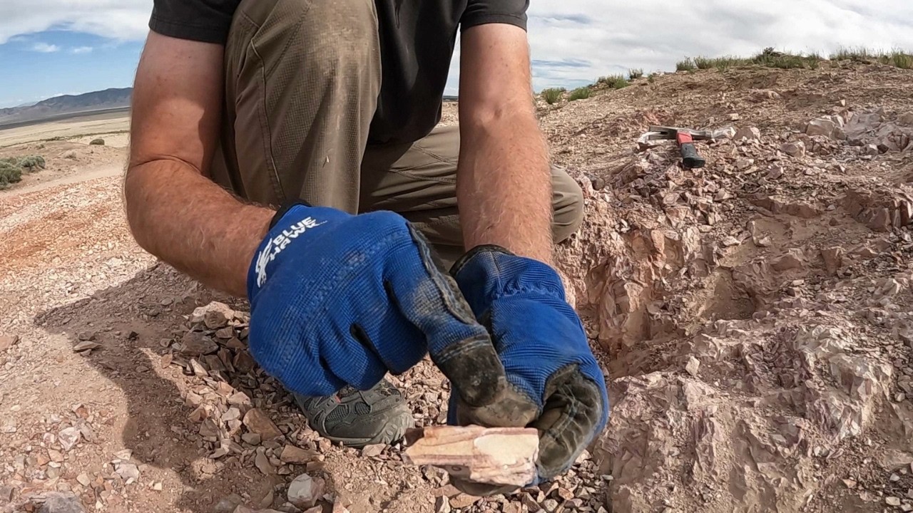 Utah Wonder Stone Beds - Vernon Hills Tooele County