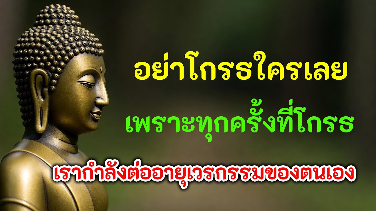 อย่าโกรธใครเลย เพราะทุกครั้งที่โกรธ เรากำลังต่ออายุเวรกรรมของตนเอง #พระพุทธเจ้า #เวรกรรม #ความโกรธ