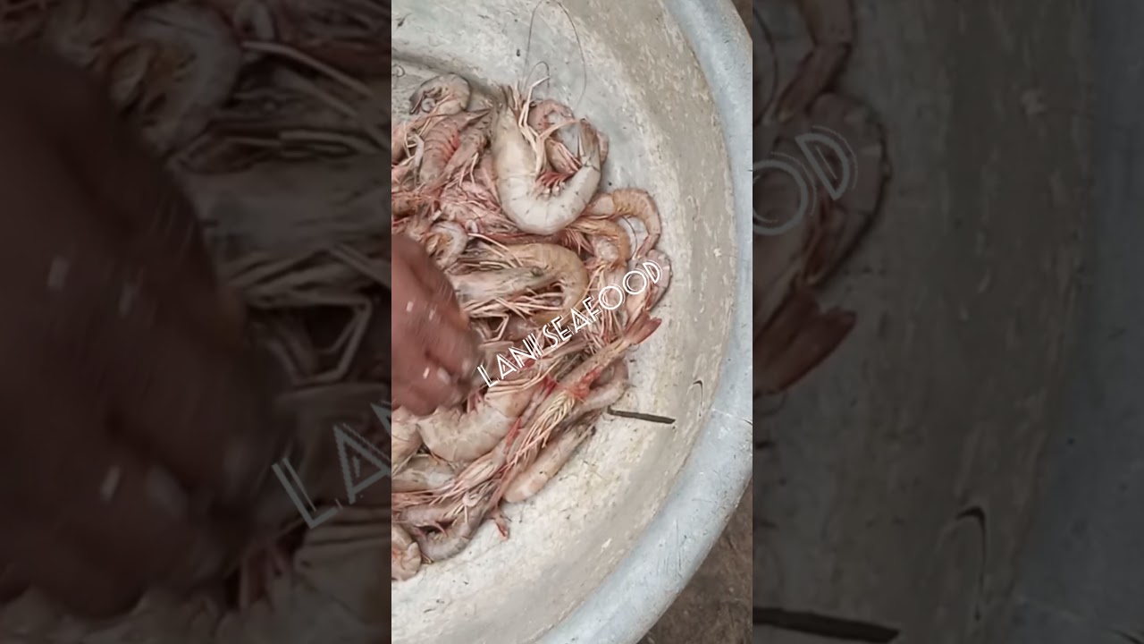 Seafood business in Akwa ibom state, Nigeria...