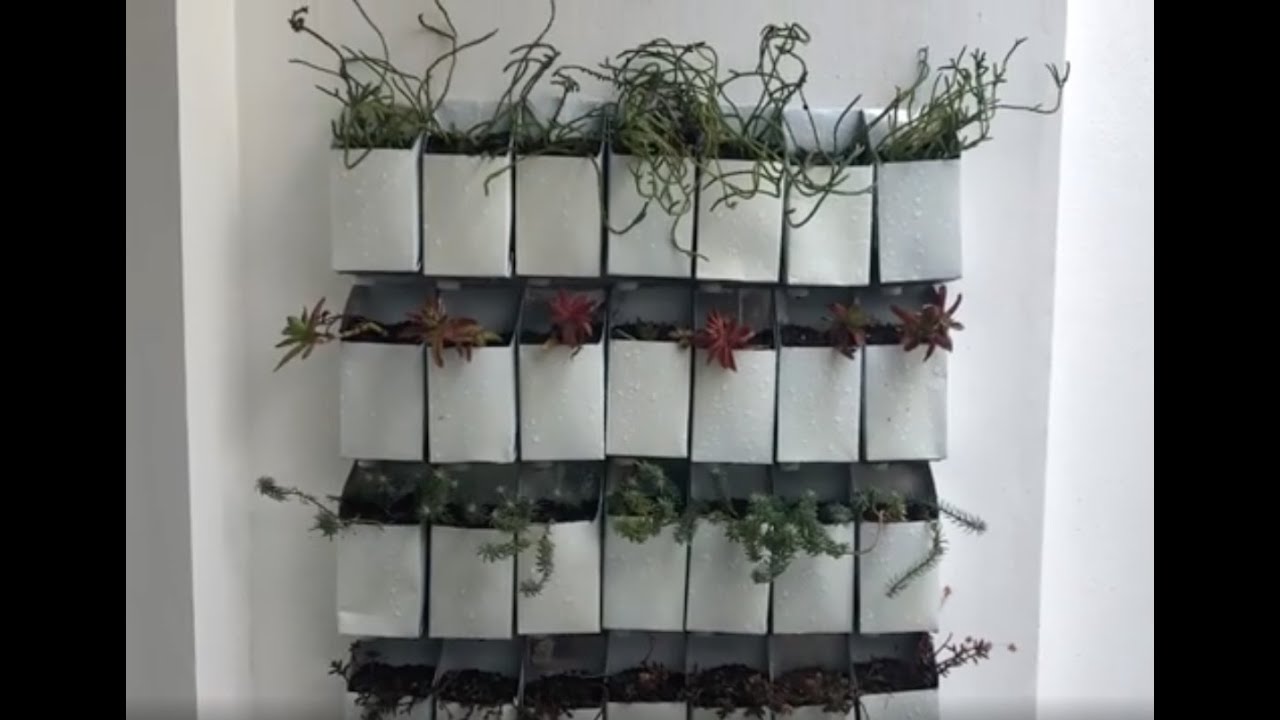 JARDÍN VERTICAL CASERO, BARATO Y FÁCIL/ vertical garden