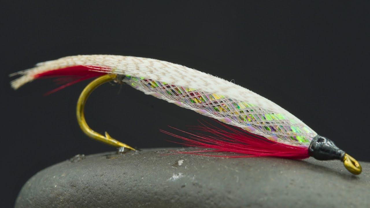 The Unknown TRIED-and-TRUE Fly!