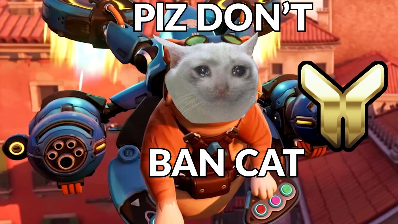 Jetpack Cat is going to get perma Ban in Comp
