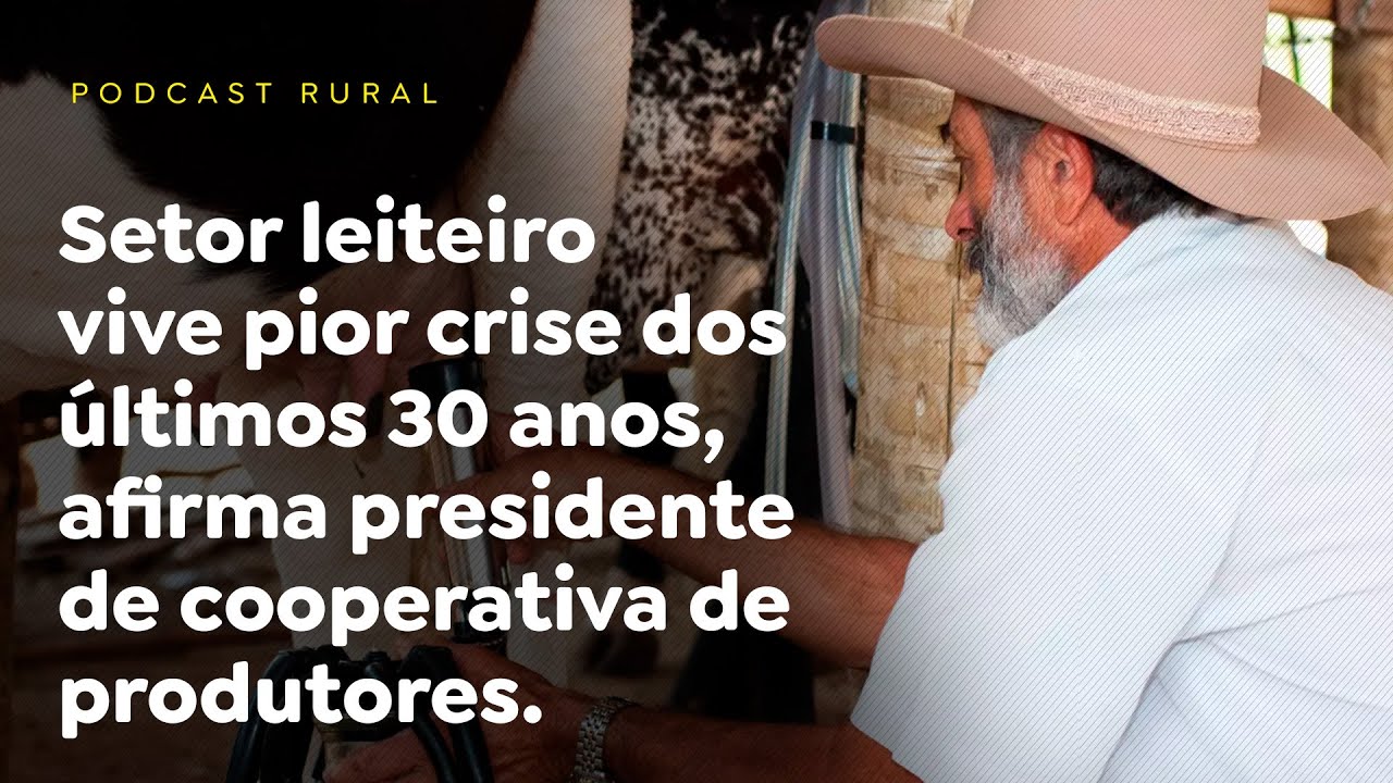 Setor leiteiro vive pior crise dos últimos 30 anos, afirma presidente de cooperativa de produtores.