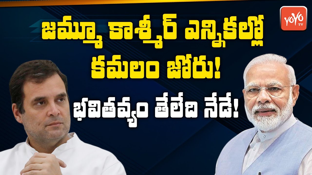Jammu & Kashmir DDC Election BJP Is Leading | DDC Election Results 2020 Updates | YOYO TV Channel