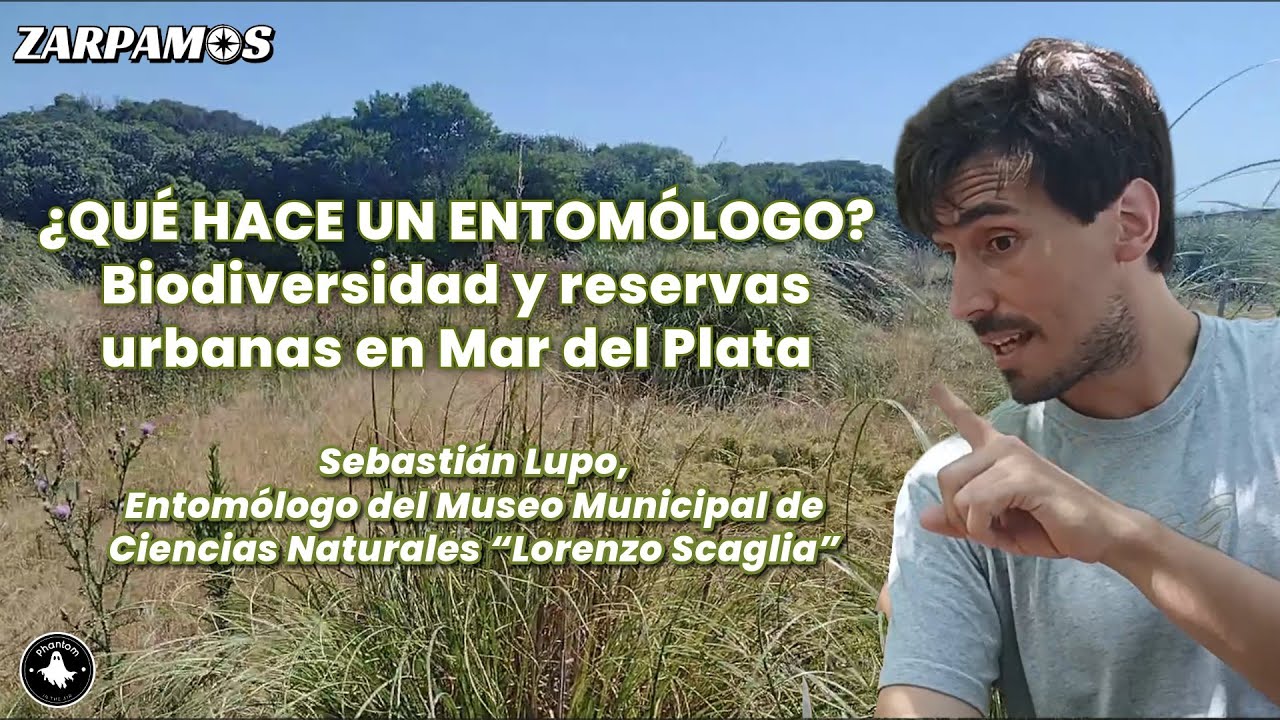 La Reserva Natural del Puerto y su biodiversidad: entrevista a Sebastián Lupo | ZARPAMOS