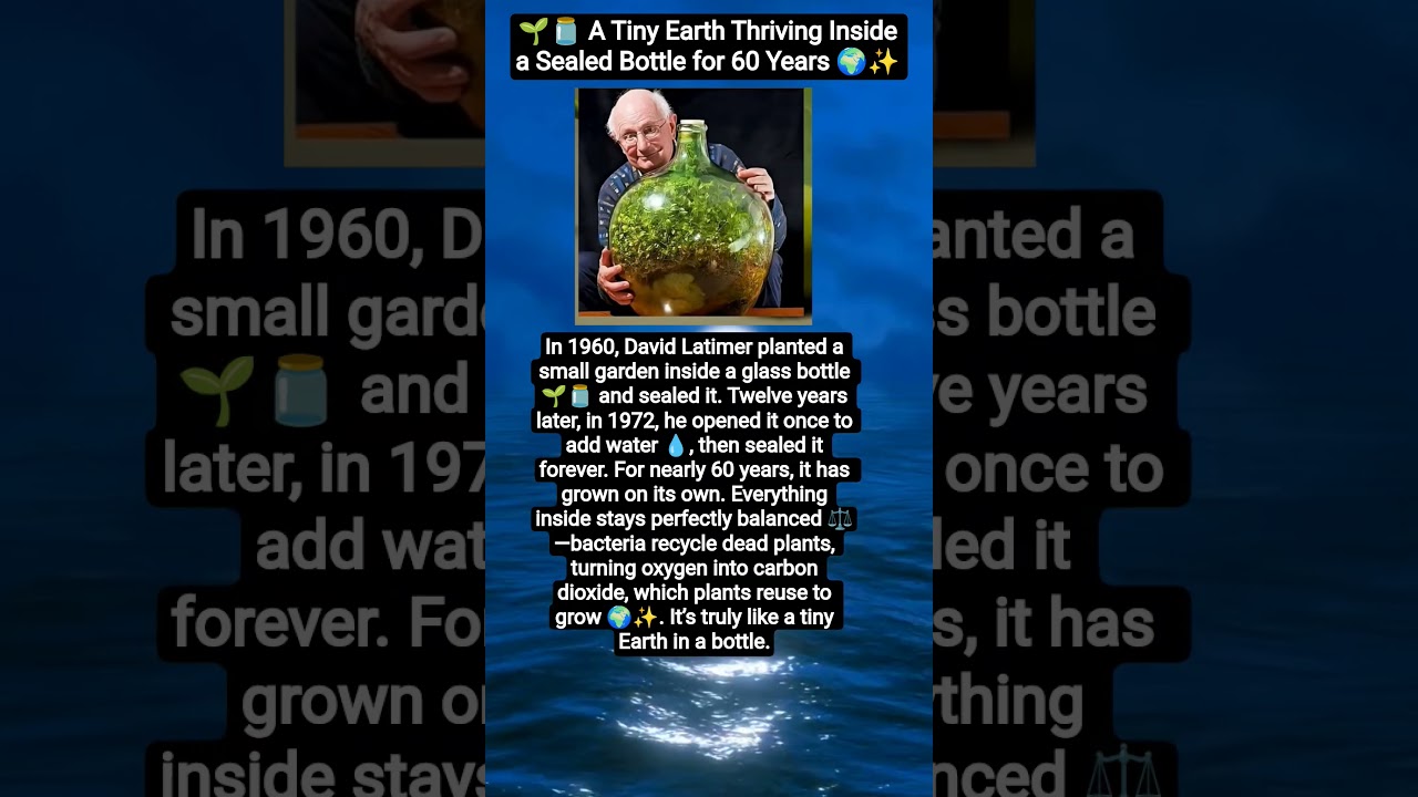 🌱🫙 A Tiny Earth Thriving Inside a Sealed Bottle for 60 Years 🌍✨