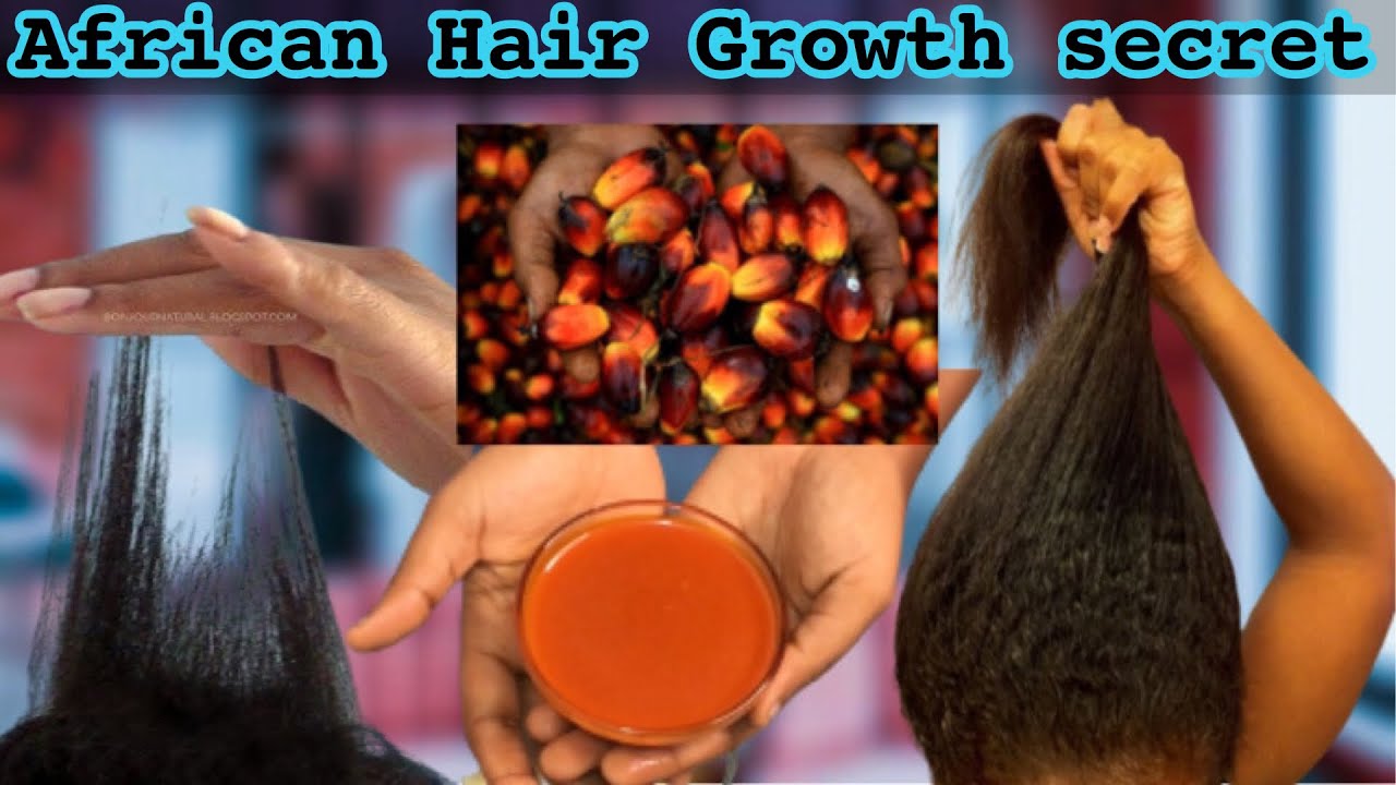 USE THIS PALM OIL TREATMENT FOR GROWING LONG THICK HEALTHY HAIR | African Ancient hair growth secret