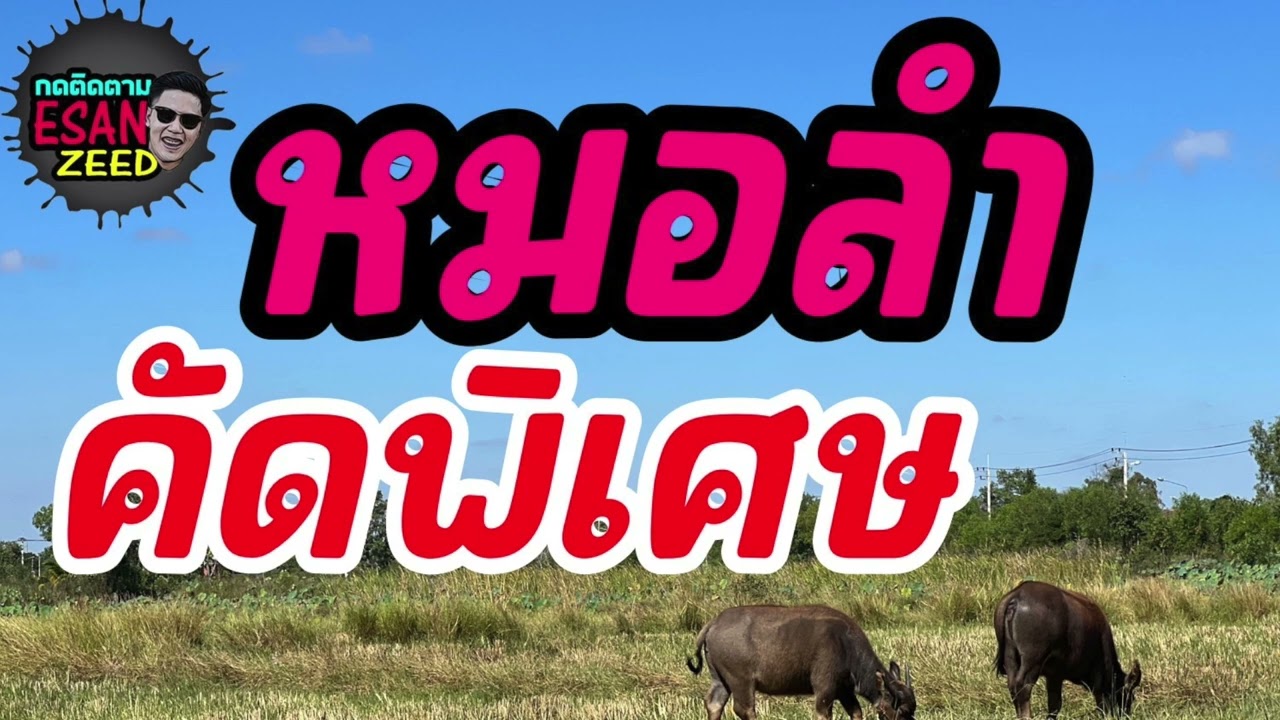 รวมลูกทุ่งหมอลำ เพลงดังแห่งยุค