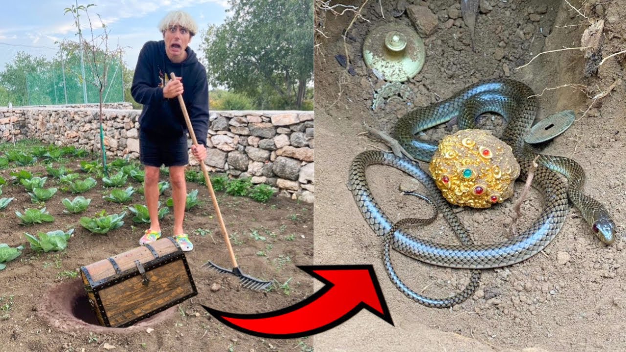 TROVIAMO UN TESORO ENORME NEL NOSTRO GIARDINO! 😱 *prezioso e raro*