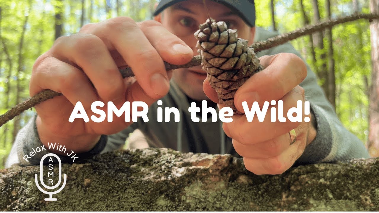 ASMR In The Wild