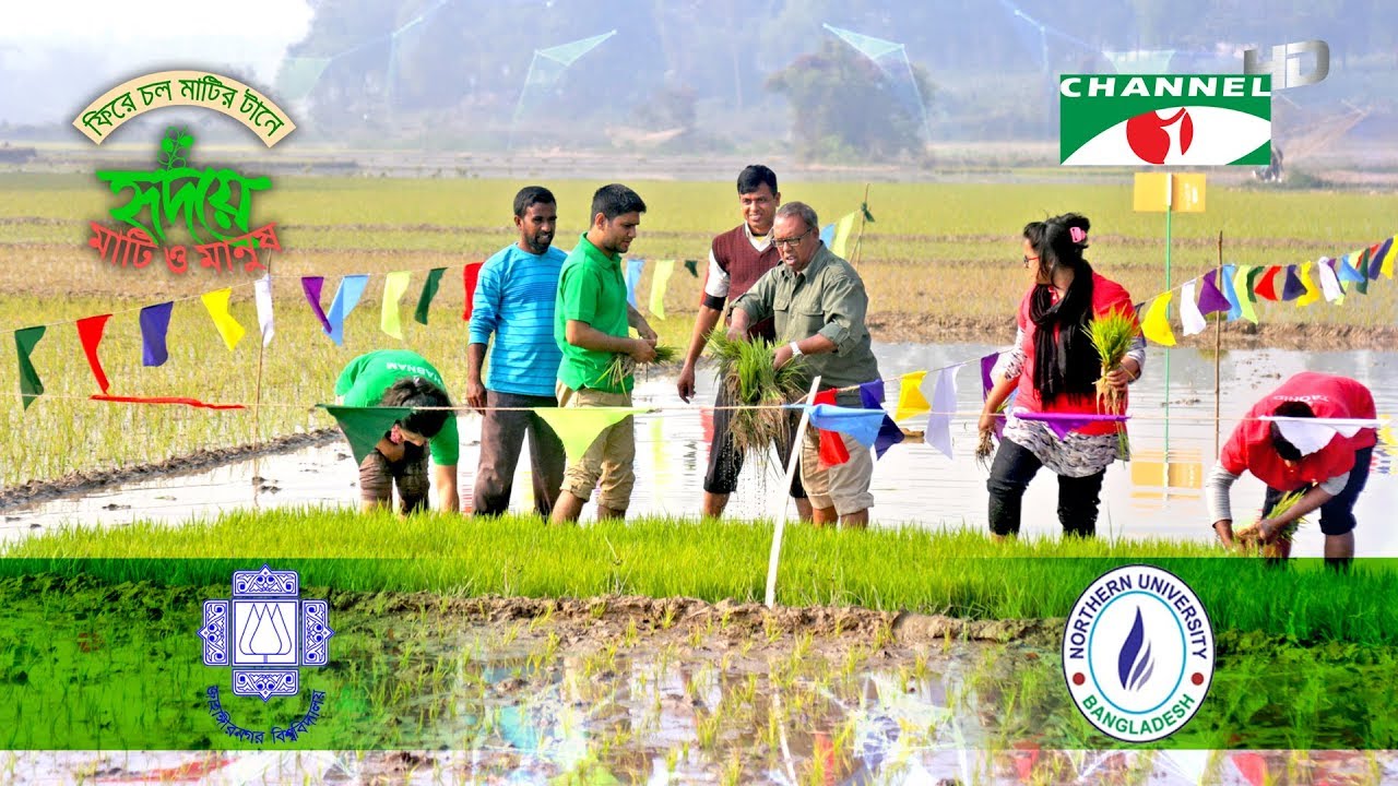 ফিরে চল মাটির টানে | Returning to Roots | বোরো | Boro | S5 E2