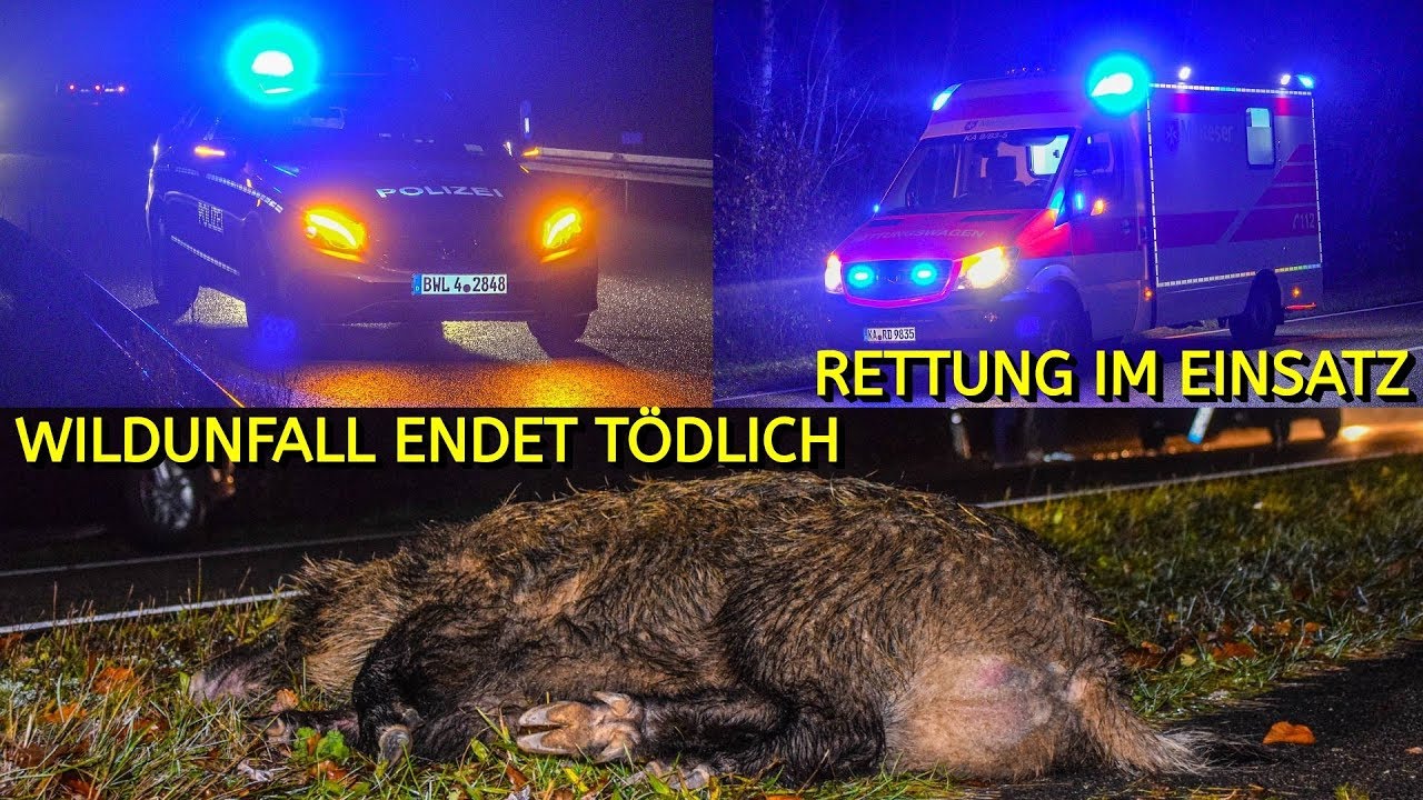 [SCHWERER UNFALL] PKW ERFASST WILDSCHWEIN ~ RETTUNGSDIENST & POLIZEI im EINSATZ | BLAULICHT