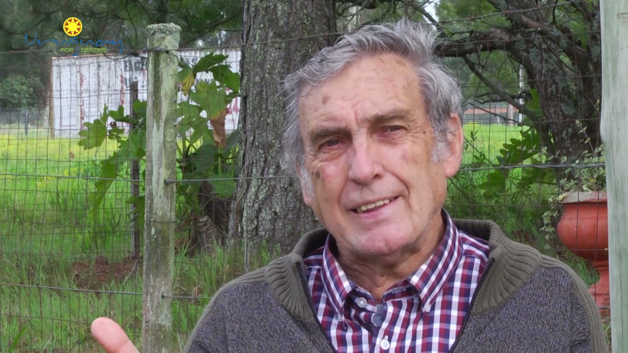 Uruguay por dentro - Antiguos molinos -