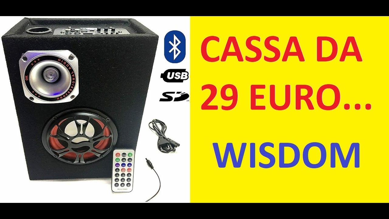 Cassa  acustica Amplificata  USB SD Bluetooth  Wisdom