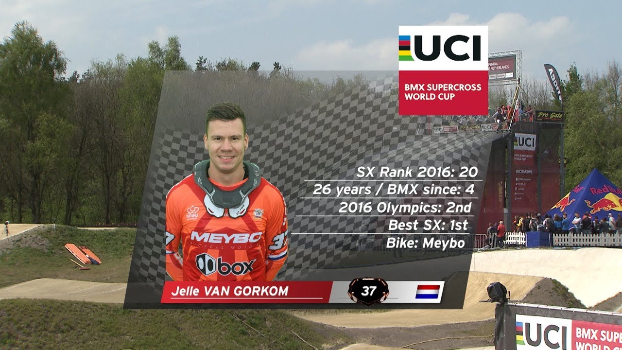 Jelle van Gorkom - 37