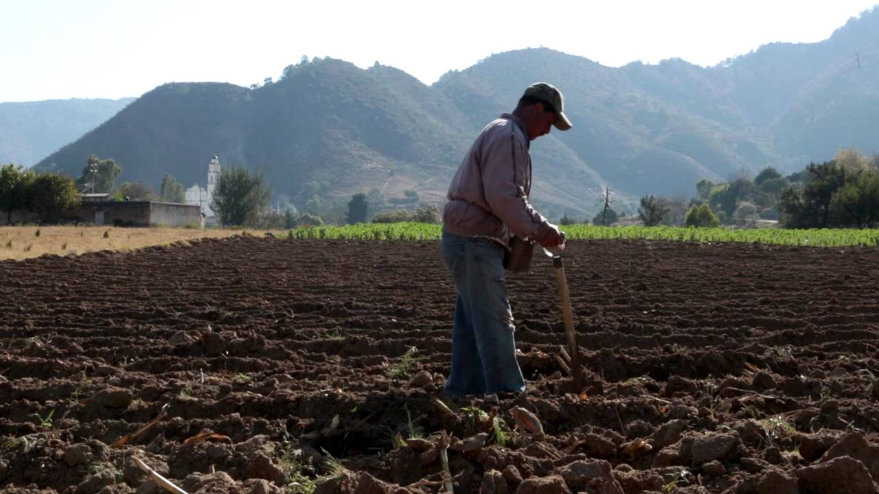 Sierra Norte por la Vida
