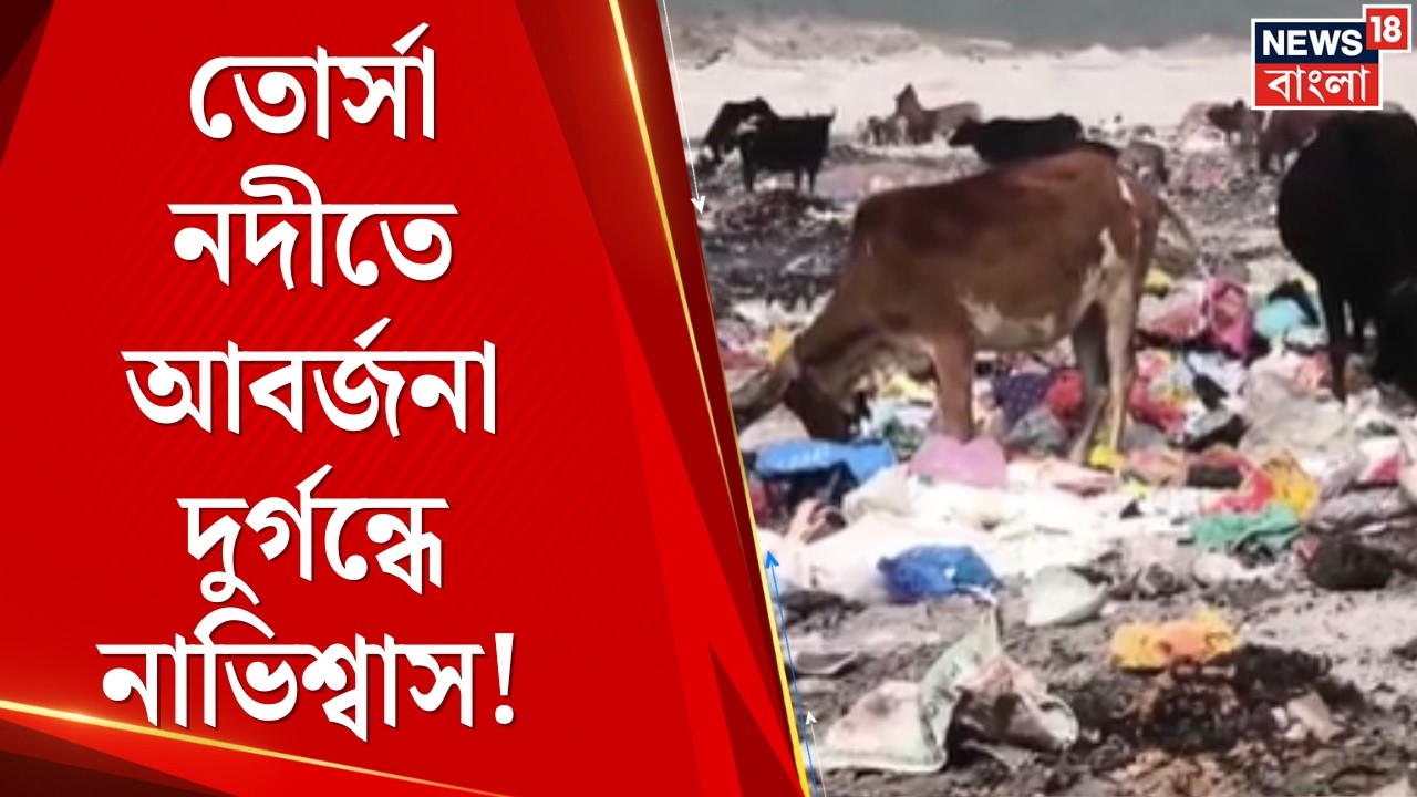Alipurduar Pollution News | তোর্সা নদীতে আবর্জনা! আলিপুরদুয়ারে ভয়াবহ দূষণ, উদ্বেগে পরিবেশপ্রেমীরা |