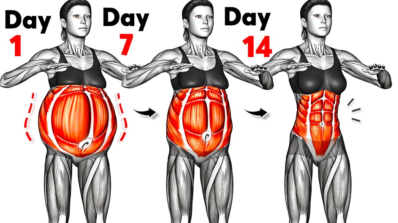 30-Minute Standing Abs Workout to Get Flat Abs | How to Lose Belly Fat Exercises For Beginners
