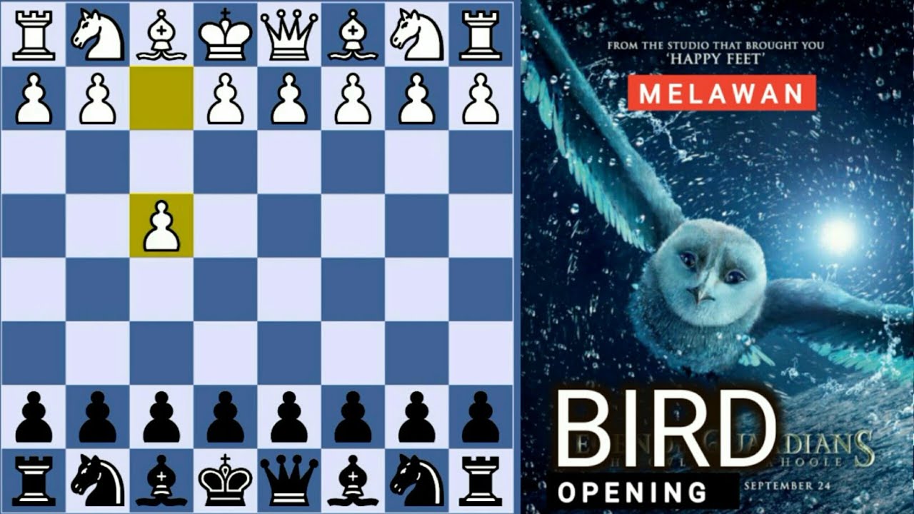HATI-HATI ! GAMBIT HITAM BERMATA DUA  ini bisa melawan PEMBUKAAN BIRD