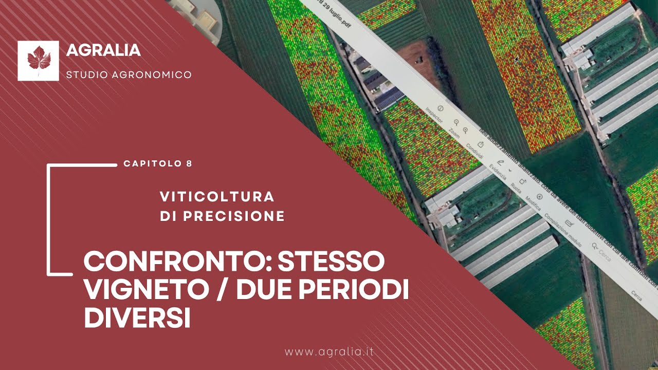 8. Viticoltura di precisione: confronto periodi diversi